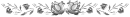 divider