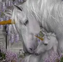 Unicorns 