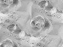 music :-)