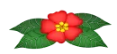 Red flower