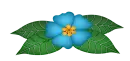 Dark indigo flower