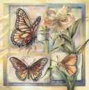 Orange Butterfly Bergsma Art