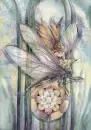 Dragonfly Fairy Art-Bergsma