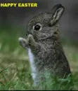 HAPPPY EASTER
