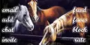 horses