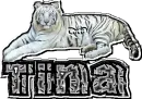 tina tiger
