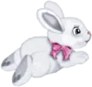 funny bunny