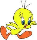 Tweety bird