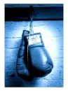 Boxing gloves