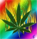 Firey weed leaf