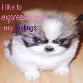 Expression