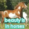 horse fun