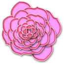 Pink Rose