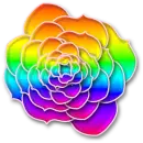 Rainbow Rose