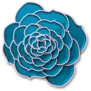 blue Rose