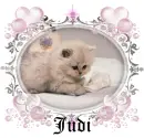 Judi