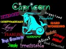 Zodiac signs- Capricorn