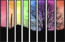 Colorful photography