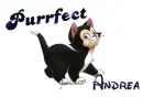 Purrefect kitten - Andrea