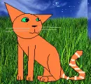 Robinfeather