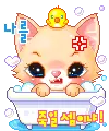 cute cat