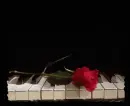 Beautiful Music