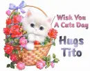 wish you cute day
