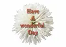 have a wonderful day