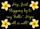 hi hello