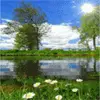 Beautiful avatars