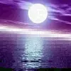 Beautiful avatars