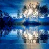 Beautiful avatars