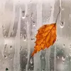 Beautiful avatars