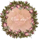 nice day
