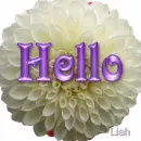 Hello