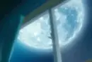 shinigami