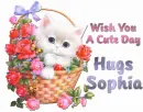 wish you a great day Sophia
