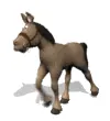 pony