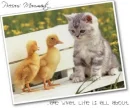 Precious Momments