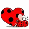 Ladybird