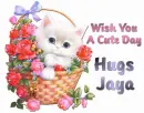 wish you a cute day Jaya