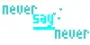 Never Say Never
