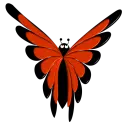 butterfly