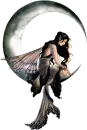 Fairy