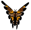 butterfly