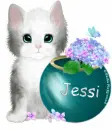Cute kitten - Jessi