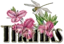 Thanks~Dragonfly On Flowers