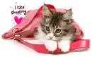 I Like Shopping Cat