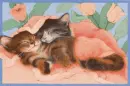 Naptime Kitties