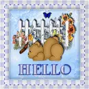 Hello Bear